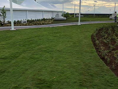 Cesped Residencial